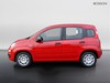 Fiat Pandina 1.0 firefly hybrid 65cv pop s&s