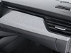 Skoda Kamiq 1.0 tsi 115cv black dots dsg