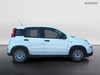 Fiat Panda 1.0 firefly hybrid 70cv s&s