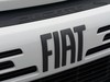 Fiat Professional Ducato maxi 35 l3h2 2.2 diesel 140cv