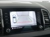 Skoda Karoq 2.0 tdi evo scr 115cv executive