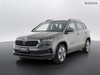 Skoda Karoq 2.0 tdi evo scr 115cv executive
