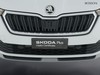 Skoda Kamiq 1.0 tsi 95cv ambition