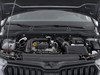Skoda Kamiq 1.0 tsi 115cv black dots dsg