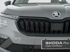 Skoda Kamiq 1.0 tsi 115cv black dots dsg