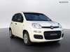 Fiat Pandina 1.0 firefly hybrid 65cv icon s&s 5p.ti
