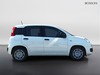 Fiat Pandina 1.0 firefly hybrid 65cv icon s&s 5p.ti