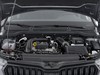 Skoda Kamiq 1.0 tsi 115cv black dots dsg