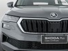 Skoda Karoq 2.0 tdi evo scr 150cv executive dsg