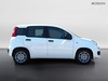 Fiat Pandina 1.0 firefly hybrid 65cv icon s&s