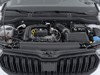 Skoda Kamiq 1.0 tsi 115cv black dots dsg