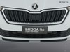 Skoda Kamiq 1.0 tsi 95cv ambition
