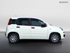 Fiat Pandina 1.0 firefly hybrid 65cv icon s&s