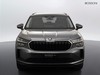 Skoda Kodiaq 2.0 tdi 150cv executive dsg 7p.ti