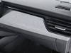 Skoda Kamiq 1.0 tsi 115cv black dots dsg