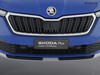 Skoda Kamiq 1.0 tsi 95cv style