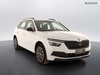 Skoda Kamiq 1.0 tsi 95cv black dots