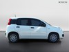 Fiat Pandina 1.0 firefly hybrid 65cv icon s&s 5p.ti