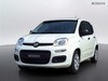 Fiat Pandina 1.0 firefly hybrid 65cv icon s&s 5p.ti