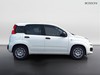 Fiat Pandina 1.0 firefly hybrid 65cv icon s&s 5p.ti