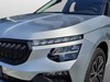 Skoda Kamiq 1.0 tsi 115cv style