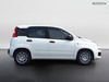 Fiat Pandina 1.0 firefly hybrid 65cv icon s&s 5p.ti