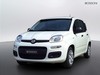 Fiat Pandina 1.0 firefly hybrid 65cv icon s&s 5p.ti