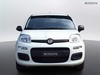 Fiat Pandina 1.0 firefly hybrid 65cv icon s&s 5p.ti