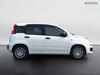 Fiat Pandina 1.0 firefly hybrid 65cv icon s&s 5p.ti