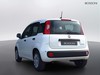 Fiat Pandina 1.0 firefly hybrid 65cv icon s&s 5p.ti
