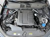 Audi A5 berlina 2.0 tdi mhev+ 204cv launch edition one quattro s tronic