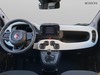 Fiat Pandina cross 1.0 firefly hybrid 65cv cross s&s