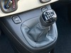 Fiat Pandina cross 1.0 firefly hybrid 65cv cross s&s