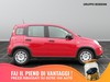 Fiat Panda 1.0 firefly hybrid 70cv s&s
