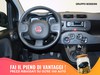 Fiat Panda 1.0 firefly hybrid 70cv s&s