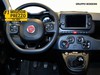 Fiat Panda cross 1.0 firefly hybrid 70cv s&s 5p.ti