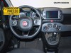 Fiat Panda cross 1.0 firefly hybrid 70cv s&s 5p.ti