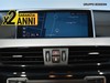 BMW X1 18d sdrive business advantage steptronic