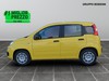 Fiat Panda 1.0 firefly hybrid 70cv s&s