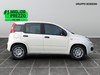 Fiat Panda 1.0 firefly hybrid 70cv s&s