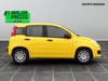 Fiat Panda 1.0 firefly hybrid 70cv s&s
