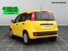 Fiat Panda 1.0 firefly hybrid 70cv s&s