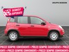 Fiat Panda 1.0 firefly hybrid 70cv s&s