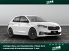 Skoda Fabia 1.0 tsi evo 95cv young edition