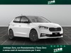 Skoda Fabia 1.0 mpi evo 80cv selection