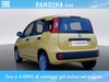 Fiat Pandina 1.0 firefly hybrid 70cv pop s&s