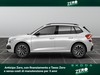 Skoda Kamiq 1.0 tsi 95cv style