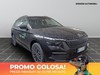 Skoda Kamiq 1.0 tsi 95cv black dots