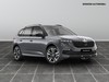 Skoda Kamiq 1.0 tsi 115cv monte carlo