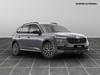 Skoda Kamiq 1.0 tsi 115cv black dots